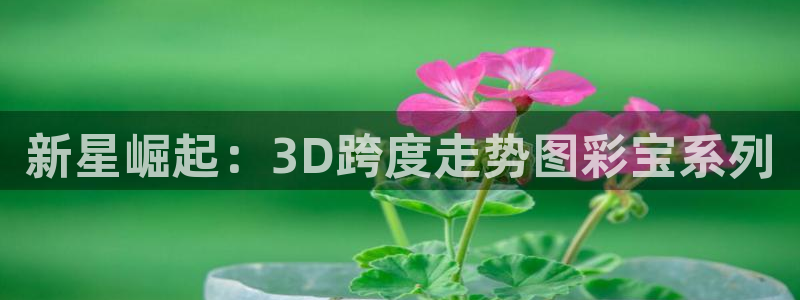 苹果版28圈下载安装：新星崛起：3D跨度走势图彩宝系列
