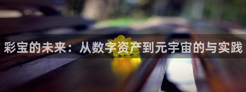 28圈登录：彩宝的未来：从数字资产到元宇宙的与实践