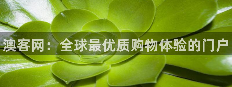 28圈加拿大app预测：澳客网：全球最优质购物体验的门户